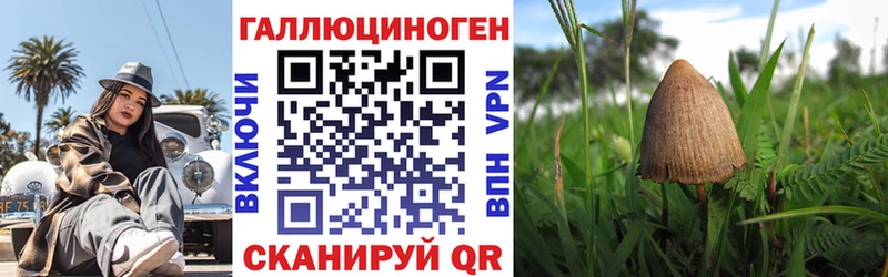 Псилоцибиновые грибы ЛСД  Купить закладки  Электрогорск 